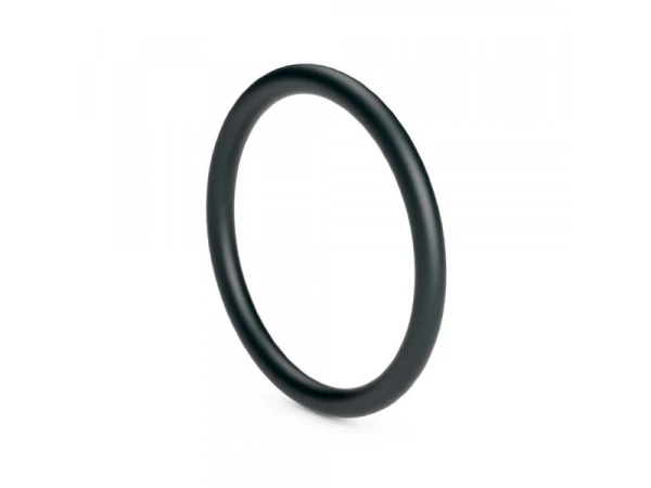 Кольцо уплотнительное O-Ring Ø9.19xØ2.62 мм C2 для котлов ECA, артикул 7006901284