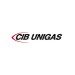 Электродвигатель CIB Unigas 71-2P-B3/B14 550 Вт