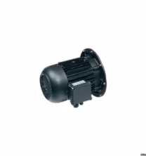 Электродвигатель Weishaupt WM-D112/140-2/3K0