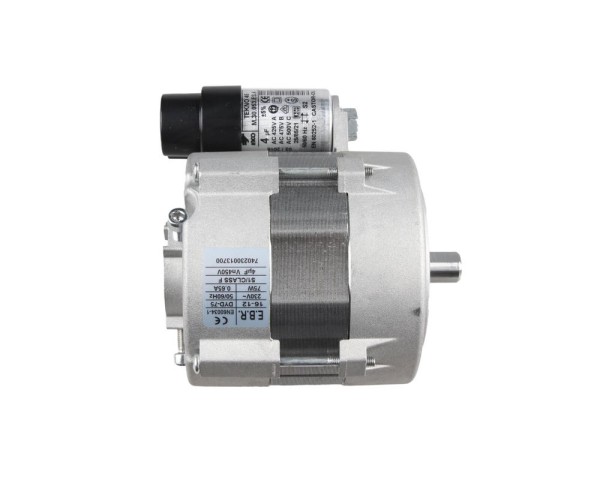 Электродвигатель Elco EBR DYD-75 F100