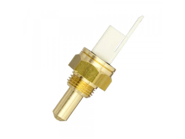 Датчик температуры погружной ECA 7006907150 для котлов Proteus Plus HM, Gerda, Gelios