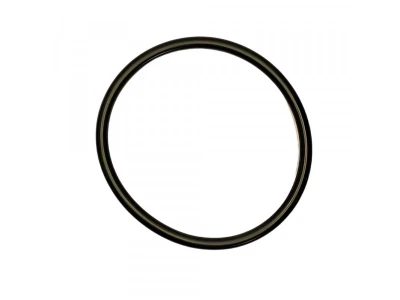 Прокладка фланца EPDM 120x8 мм для котлов Bosch, артикул 7747005743