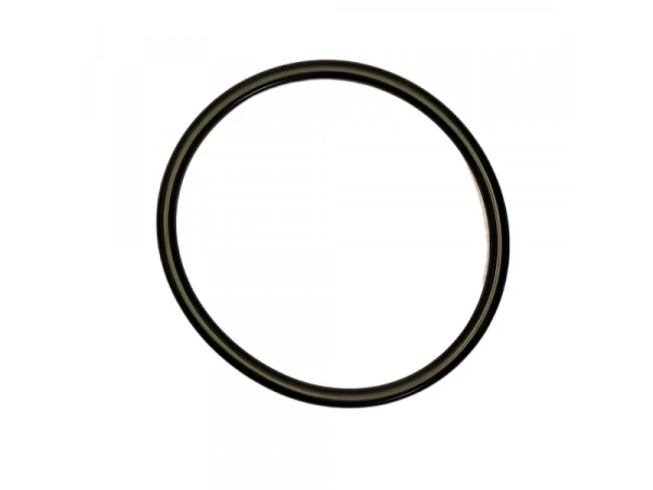 Прокладка фланца EPDM 120x8 мм для котлов Bosch, артикул 7747005743