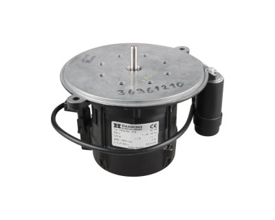 Электродвигатель Hanning OE6Z2B4-416