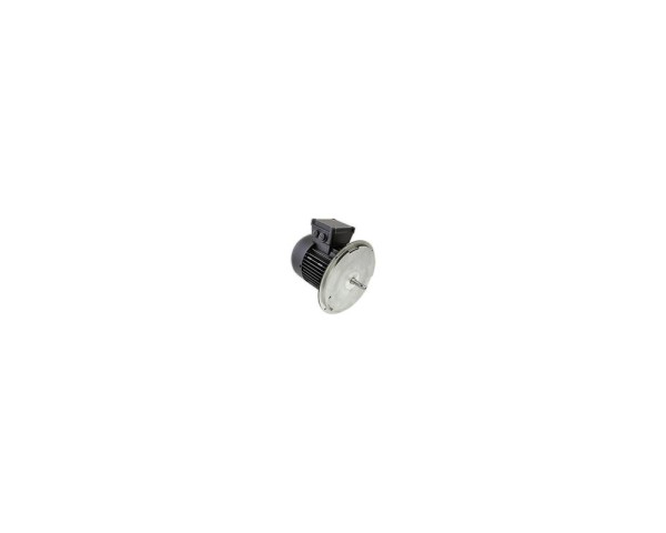 Электродвигатель Weishaupt W-D90/90-2/1K0