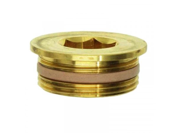 Заглушка G1 PTFE PB2 для бака-водонагревателя Bosch/Buderus (арт. 8735100200)