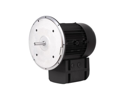 Электродвигатель Weishaupt WM-D112/140-2/3K5, 21520407300