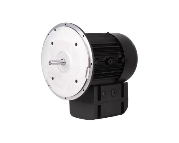 Электродвигатель Weishaupt WM-D112/140-2/3K5, 21520407300