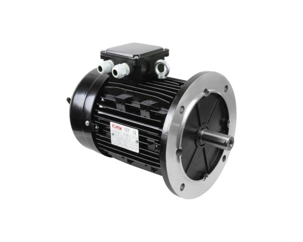 Электродвигатель Ecoflam 6XM 100L2, 3 кВт, 65312555
