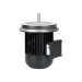 Электродвигатель Weishaupt W-D112/140-2/3K0