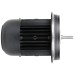 Электродвигатель Weishaupt W-D112/140-2/3K0