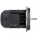 Электродвигатель Weishaupt W-D112/140-2/3K0