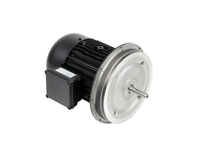 Электродвигатель Weishaupt W-D112/170-2/7K0