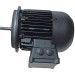 Электродвигатель Weishaupt WM-D132/210-2/10K0