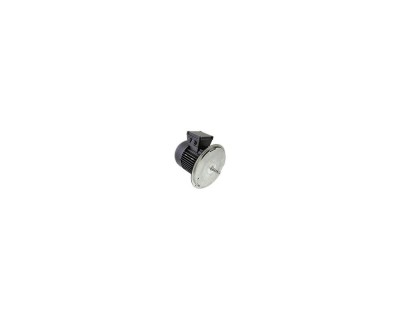 Электродвигатель Weishaupt W-D90/110-2/1K5