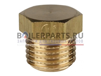 Заглушка резьбовая 1/4" для котлов Protherm, артикул 0020033440