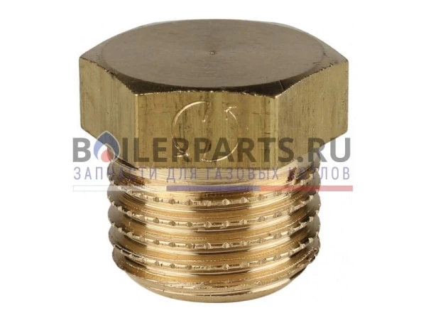 Заглушка резьбовая 1/4" для котлов Protherm, артикул 0020033440