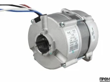 Электродвигатель Riello RHE 171T 7398