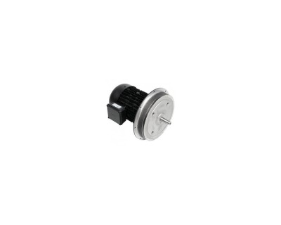 Электродвигатель Weishaupt W-D132/170-2/6K5