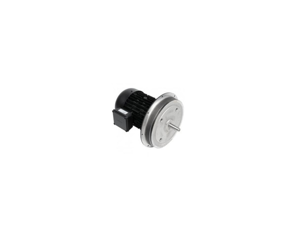 Электродвигатель Weishaupt W-D132/170-2/6K5