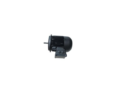 Электродвигатель Weishaupt W-D160/240-2/16K0
