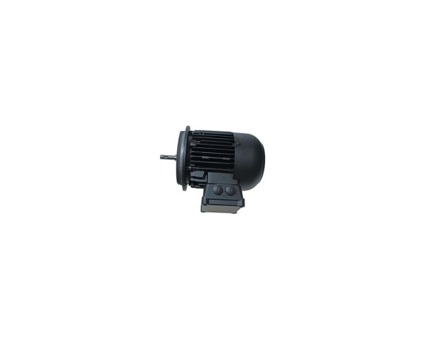 Электродвигатель Weishaupt W-D160/240-2/16K0