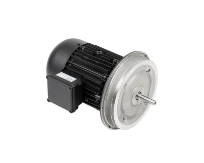 Электродвигатель Weishaupt W-D112/170-2/5K5