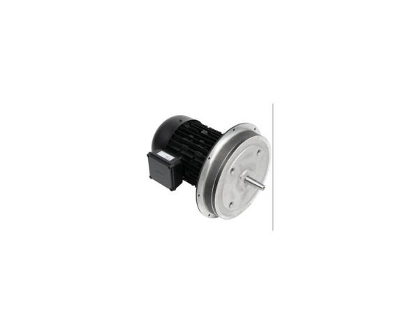 Электродвигатель Weishaupt WM-D132/170-2/7K5 с переключением звезда-треугольник