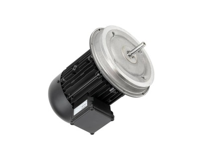 Электродвигатель Weishaupt W-D112/170-2/5K0