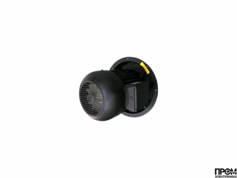 Электродвигатель Weishaupt WM-D132/210-2/14K0