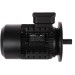 Электродвигатель Lafert AMPE 90L DA2