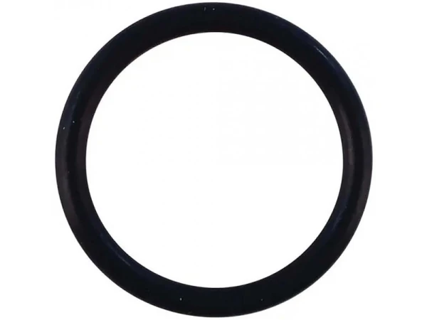 Прокладка резиновая Ferroli 39818180 для котлов Pegasus F3 N 2S, F3 N 289 2S
