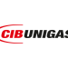 Электрод розжига CIB Unigas 101 мм, 2080209