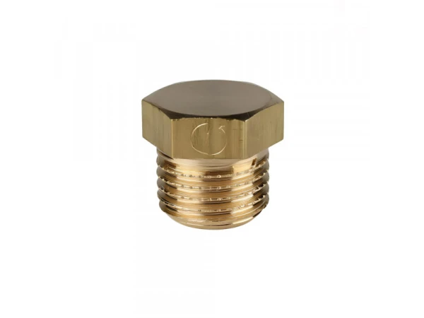 Заглушка гидравлического блока 1/8" Protherm 0020033860