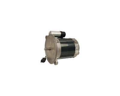 Электродвигатель Weishaupt WM-D160/240-2/19K0