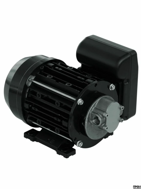 Электрический шестеренчатый насос Garda 5 230V для масла и ДТ, 10 л/мин NMT450006 PIUSI