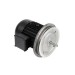 Электродвигатель Weishaupt W-D160/240-2/18K0