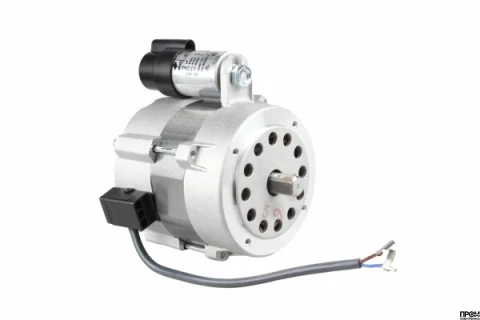 Электродвигатель Hanning O1A095-065P0025-030-001OF0-620