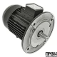 Электродвигатель Simel 5/3038 IE2