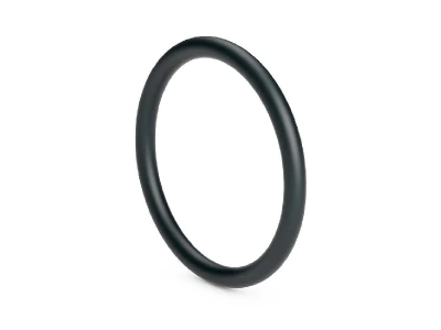 Уплотнительное кольцо Vaillant 981755 для котлов