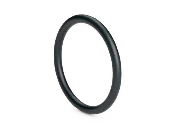 Уплотнительное кольцо Vaillant 981755 для котлов