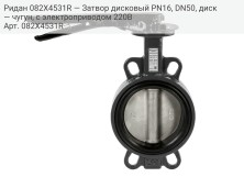 Ридан 082X4531R — Затвор дисковый PN16, DN50, диск — чугун, с электроприводом 220В