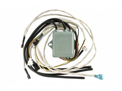 Импульсное устройство розжига и контроля пламени Thermex G 904882