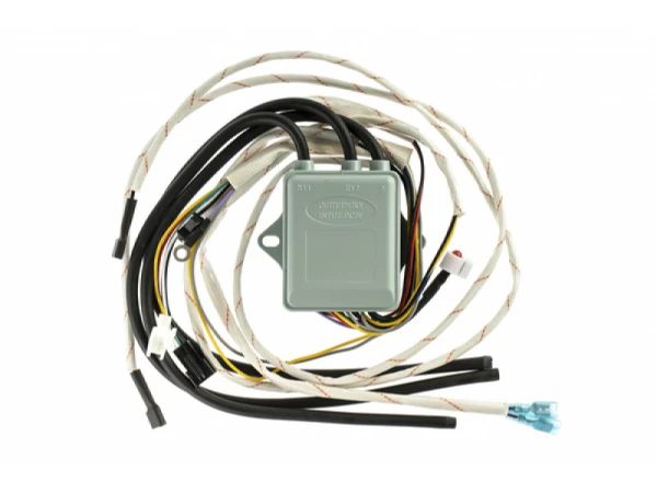 Импульсное устройство розжига и контроля пламени Thermex G 904882