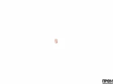 Муфта Oilon 34024202
