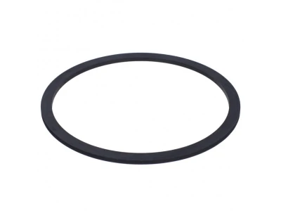 Прокладка насоса Protherm 0020221829 для котлов серии Panther, Lynx