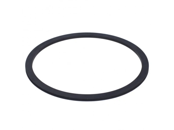 Прокладка насоса Protherm 0020221829 для котлов серии Panther, Lynx