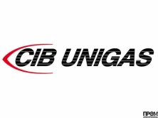 Голова сгорания CIB Unigas, 3060161
