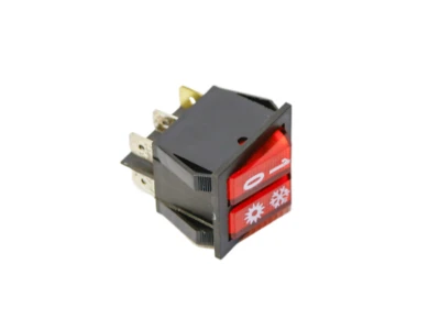 Выключатель главный двойной Thermona 70113 для котлов Thermona Therm 45 EZ/B 2004