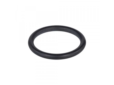 Кольцо уплотнительное резиновое для котлов Protherm Рысь Lynx 24/28, OEM, артикул 0020118737